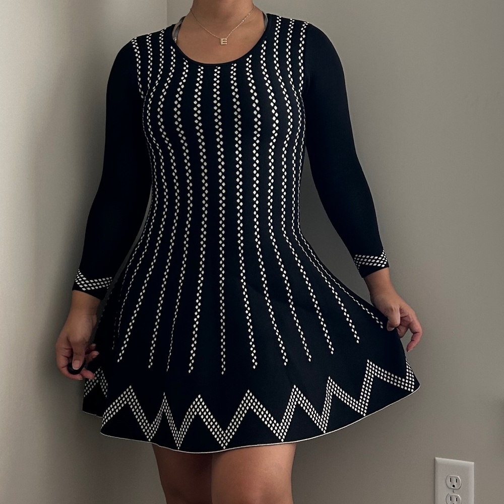Gianni Bini Skater Dress